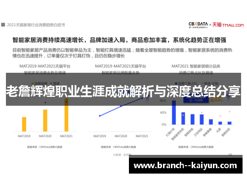老詹辉煌职业生涯成就解析与深度总结分享