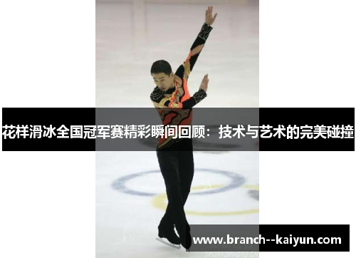 花样滑冰全国冠军赛精彩瞬间回顾：技术与艺术的完美碰撞