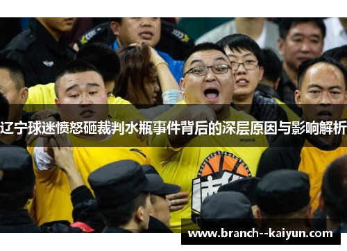 辽宁球迷愤怒砸裁判水瓶事件背后的深层原因与影响解析